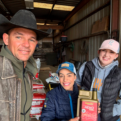 Horse supplements, Equine supplements, Horse supplement, Equine supplement, Performance horse, Performance equine, Performance horse training, Performance equine training, Calm supplement for horses, Calm supplement for equines, Best supplement for horses, Best supplement for equines, Energy supplement for horses, Energy supplement for equines, Supplement for horses muscles, Supplement for equines muscles, Horses muscle mass, Equine muscle mass, Horse muscle gain