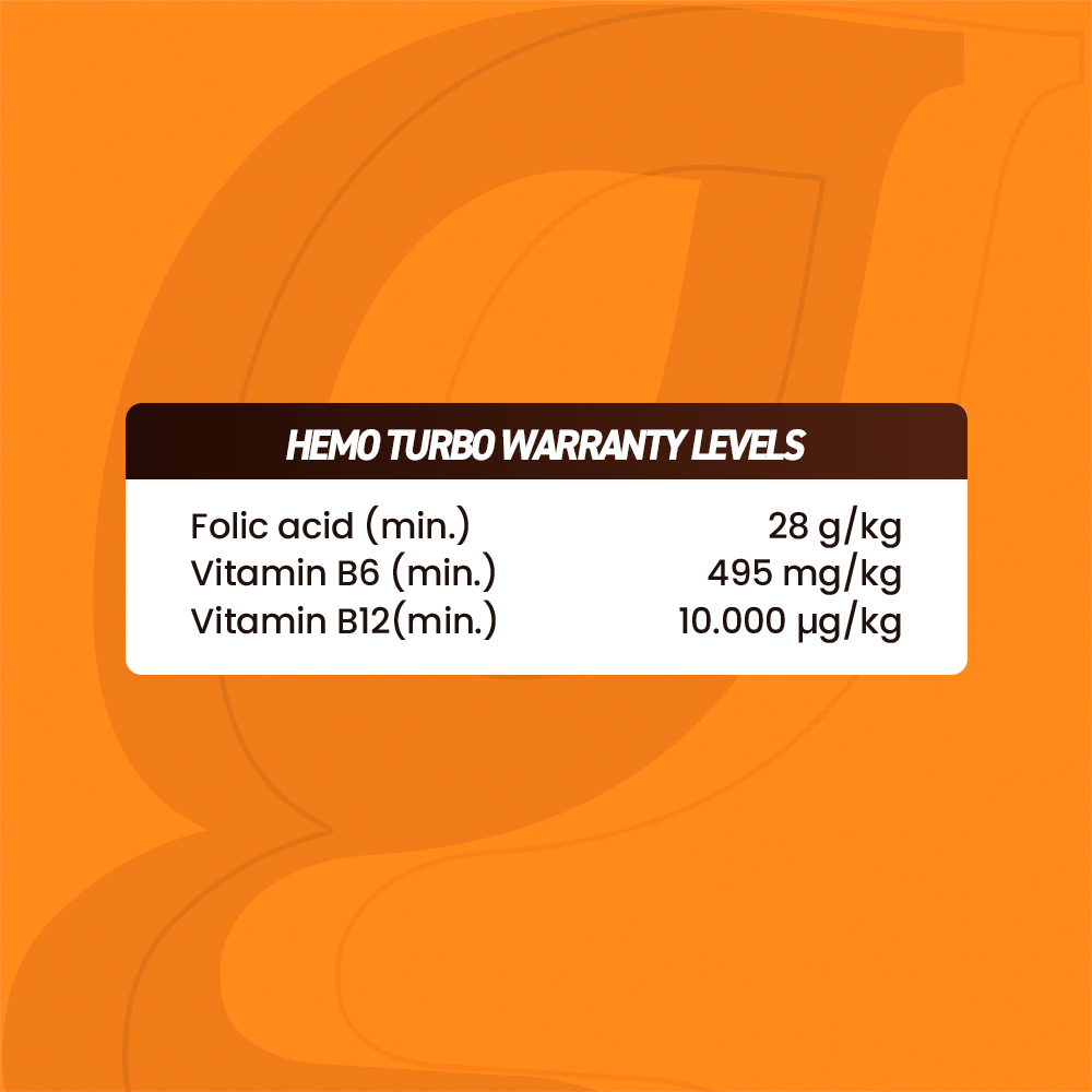 Horse supplements, Equine supplements, Horse supplement, Equine supplement, Performance horse, Performance equine, Performance horse training, Performance equine training, Calm supplement for horses, Calm supplement for equines, Best supplement for horses, Best supplement for equines, Energy supplement for horses, Energy supplement for equines, Supplement for horses muscles, Supplement for equines muscles, Horses muscle mass, Equine muscle mass, Horse muscle gain