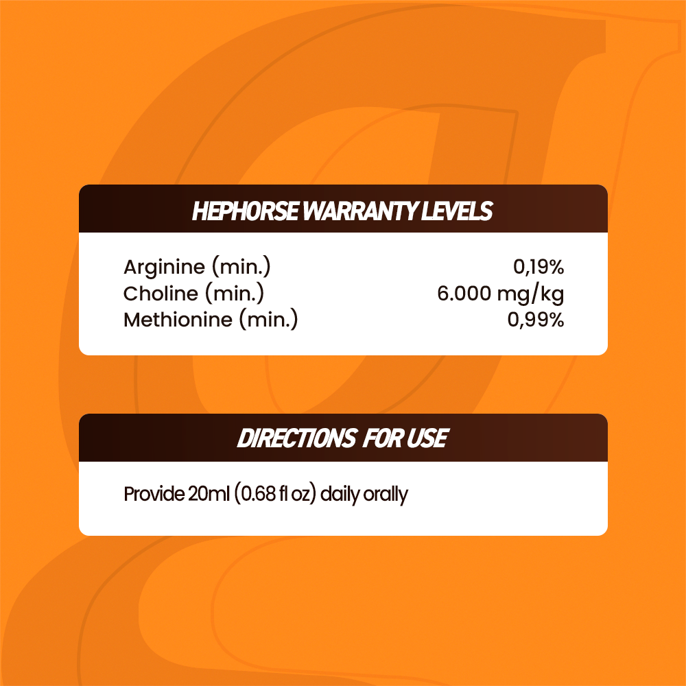 Horse supplements, Equine supplements, Horse supplement, Equine supplement, Performance horse, Performance equine, Performance horse training, Performance equine training, Calm supplement for horses, Calm supplement for equines, Best supplement for horses, Best supplement for equines, Energy supplement for horses, Energy supplement for equines, Supplement for horses muscles, Supplement for equines muscles, Horses muscle mass, Equine muscle mass, Horse muscle gain