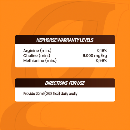 Horse supplements, Equine supplements, Horse supplement, Equine supplement, Performance horse, Performance equine, Performance horse training, Performance equine training, Calm supplement for horses, Calm supplement for equines, Best supplement for horses, Best supplement for equines, Energy supplement for horses, Energy supplement for equines, Supplement for horses muscles, Supplement for equines muscles, Horses muscle mass, Equine muscle mass, Horse muscle gain