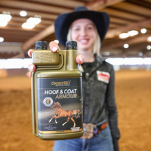 Horse supplements, Equine supplements, Horse supplement, Equine supplement, Performance horse, Performance equine, Performance horse training, Performance equine training, Calm supplement for horses, Calm supplement for equines, Best supplement for horses, Best supplement for equines, Energy supplement for horses, Energy supplement for equines, Supplement for horses muscles, Supplement for equines muscles, Horses muscle mass, Equine muscle mass, Horse muscle gain