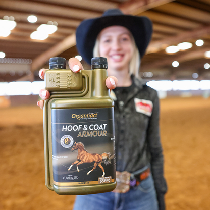 Horse supplements, Equine supplements, Horse supplement, Equine supplement, Performance horse, Performance equine, Performance horse training, Performance equine training, Calm supplement for horses, Calm supplement for equines, Best supplement for horses, Best supplement for equines, Energy supplement for horses, Energy supplement for equines, Supplement for horses muscles, Supplement for equines muscles, Horses muscle mass, Equine muscle mass, Horse muscle gain