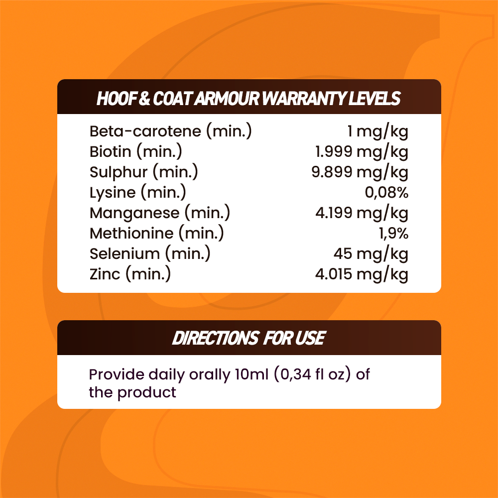 Horse supplements, Equine supplements, Horse supplement, Equine supplement, Performance horse, Performance equine, Performance horse training, Performance equine training, Calm supplement for horses, Calm supplement for equines, Best supplement for horses, Best supplement for equines, Energy supplement for horses, Energy supplement for equines, Supplement for horses muscles, Supplement for equines muscles, Horses muscle mass, Equine muscle mass, Horse muscle gain