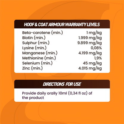 Horse supplements, Equine supplements, Horse supplement, Equine supplement, Performance horse, Performance equine, Performance horse training, Performance equine training, Calm supplement for horses, Calm supplement for equines, Best supplement for horses, Best supplement for equines, Energy supplement for horses, Energy supplement for equines, Supplement for horses muscles, Supplement for equines muscles, Horses muscle mass, Equine muscle mass, Horse muscle gain