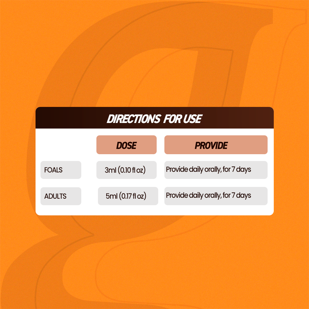 Equine muscle gain, Best supplement for horse metabolic, Best supplement for equine metabolic, Best supplement for performance horses, Best supplement for performance equines, Digestive supplement for horse, Digestive supplement for equines, Calming supplements for horses, Calming supplements for equines, Best calming paste, Horse vitamins and minerals supplement, Equine vitamins and minerals supplement, Supplement performance for horse, Supplement performance for equine