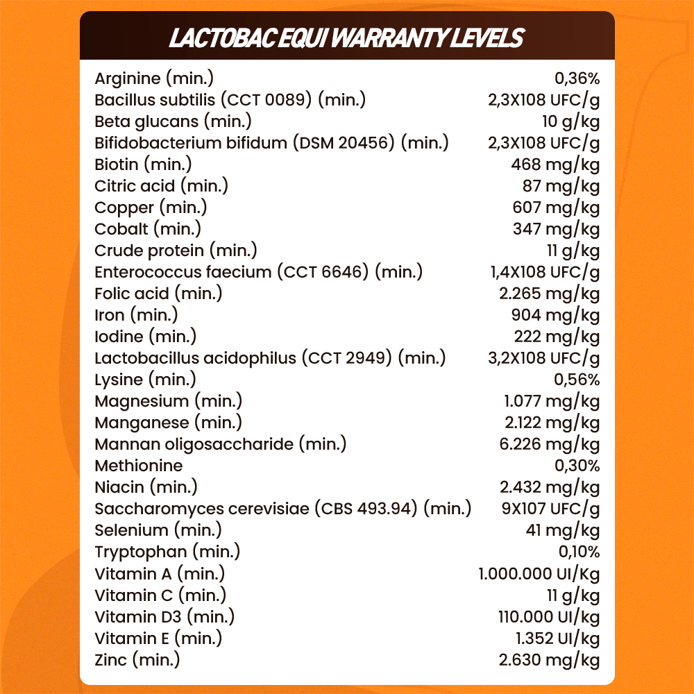 Equine muscle gain, Best supplement for horse metabolic, Best supplement for equine metabolic, Best supplement for performance horses, Best supplement for performance equines, Digestive supplement for horse, Digestive supplement for equines, Calming supplements for horses, Calming supplements for equines, Best calming paste, Horse vitamins and minerals supplement, Equine vitamins and minerals supplement, Supplement performance for horse, Supplement performance for equine