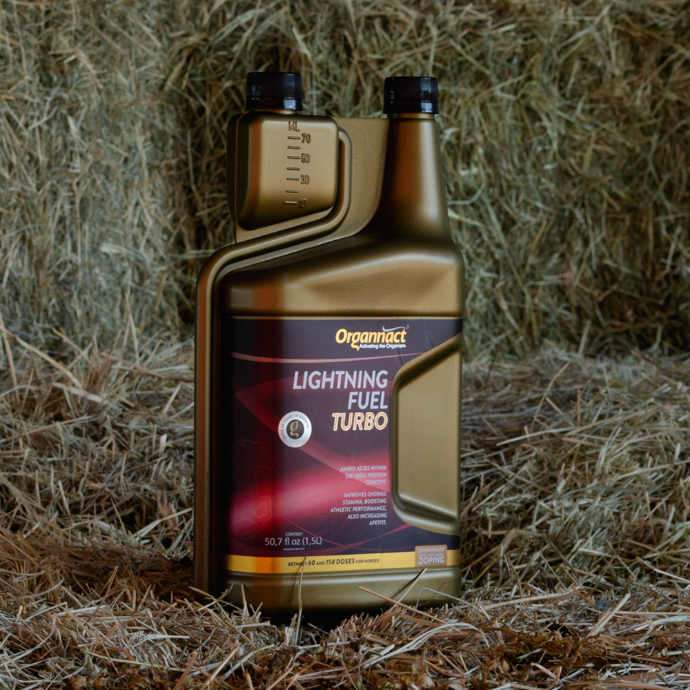 l carnitine equine supplement Acetyl L-Carnitine for Horses Carnitine Equine Energy Supplement is used as to help build muscle L-Carnitine Powder (AniMed) - Equine