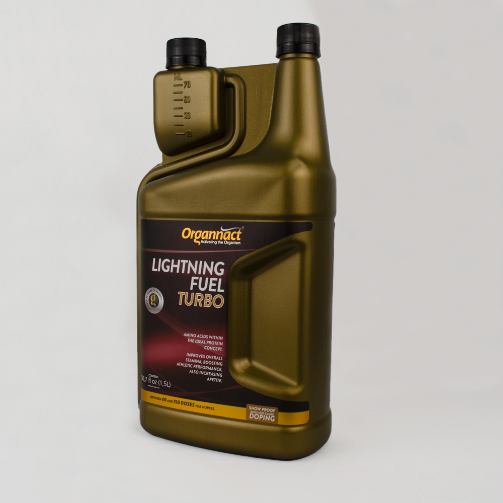 Horse supplements, Equine supplements, Horse supplement, Equine supplement, Performance horse, Performance equine, Performance horse training, Performance equine training, Calm supplement for horses, Calm supplement for equines, Best supplement for horses, Best supplement for equines, Energy supplement for horses, Energy supplement for equines, Supplement for horses muscles, Supplement for equines muscles, Horses muscle mass, Equine muscle mass, Horse muscle gain