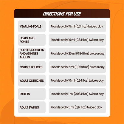 Horse supplements, Equine supplements, Horse supplement, Equine supplement, Performance horse, Performance equine, Performance horse training, Performance equine training, Calm supplement for horses, Calm supplement for equines, Best supplement for horses, Best supplement for equines, Energy supplement for horses, Energy supplement for equines, Supplement for horses muscles, Supplement for equines muscles, Horses muscle mass, Equine muscle mass, Horse muscle gain