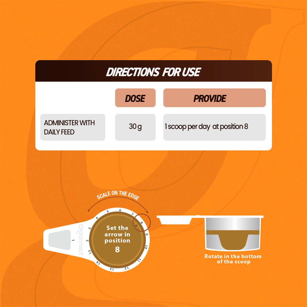 Equine muscle gain, Best supplement for horse metabolic, Best supplement for equine metabolic, Best supplement for performance horses, Best supplement for performance equines, Digestive supplement for horse, Digestive supplement for equines, Calming supplements for horses, Calming supplements for equines, Best calming paste, Horse vitamins and minerals supplement, Equine vitamins and minerals supplement, Supplement performance for horse, Supplement performance for equine