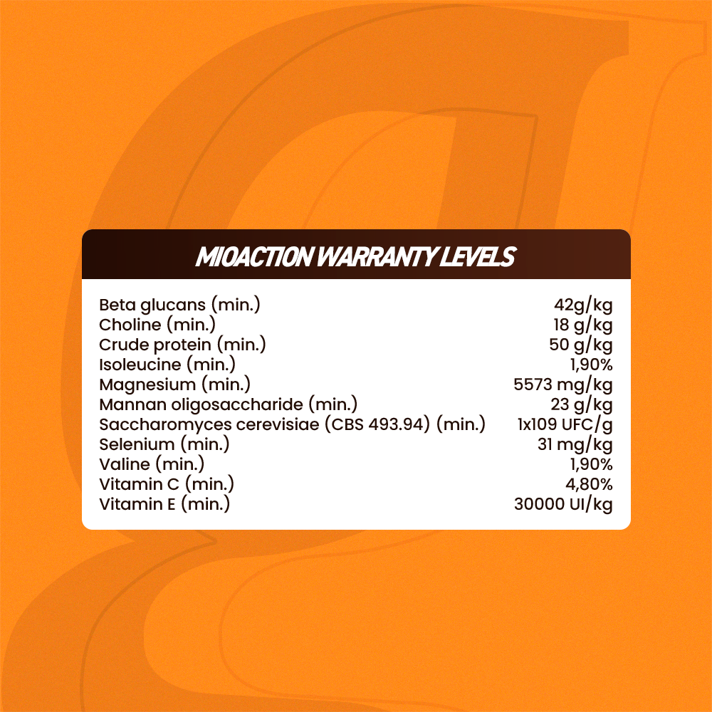 Equine muscle gain, Best supplement for horse metabolic, Best supplement for equine metabolic, Best supplement for performance horses, Best supplement for performance equines, Digestive supplement for horse, Digestive supplement for equines, Calming supplements for horses, Calming supplements for equines, Best calming paste, Horse vitamins and minerals supplement, Equine vitamins and minerals supplement, Supplement performance for horse, Supplement performance for equine