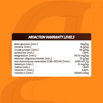 Equine muscle gain, Best supplement for horse metabolic, Best supplement for equine metabolic, Best supplement for performance horses, Best supplement for performance equines, Digestive supplement for horse, Digestive supplement for equines, Calming supplements for horses, Calming supplements for equines, Best calming paste, Horse vitamins and minerals supplement, Equine vitamins and minerals supplement, Supplement performance for horse, Supplement performance for equine
