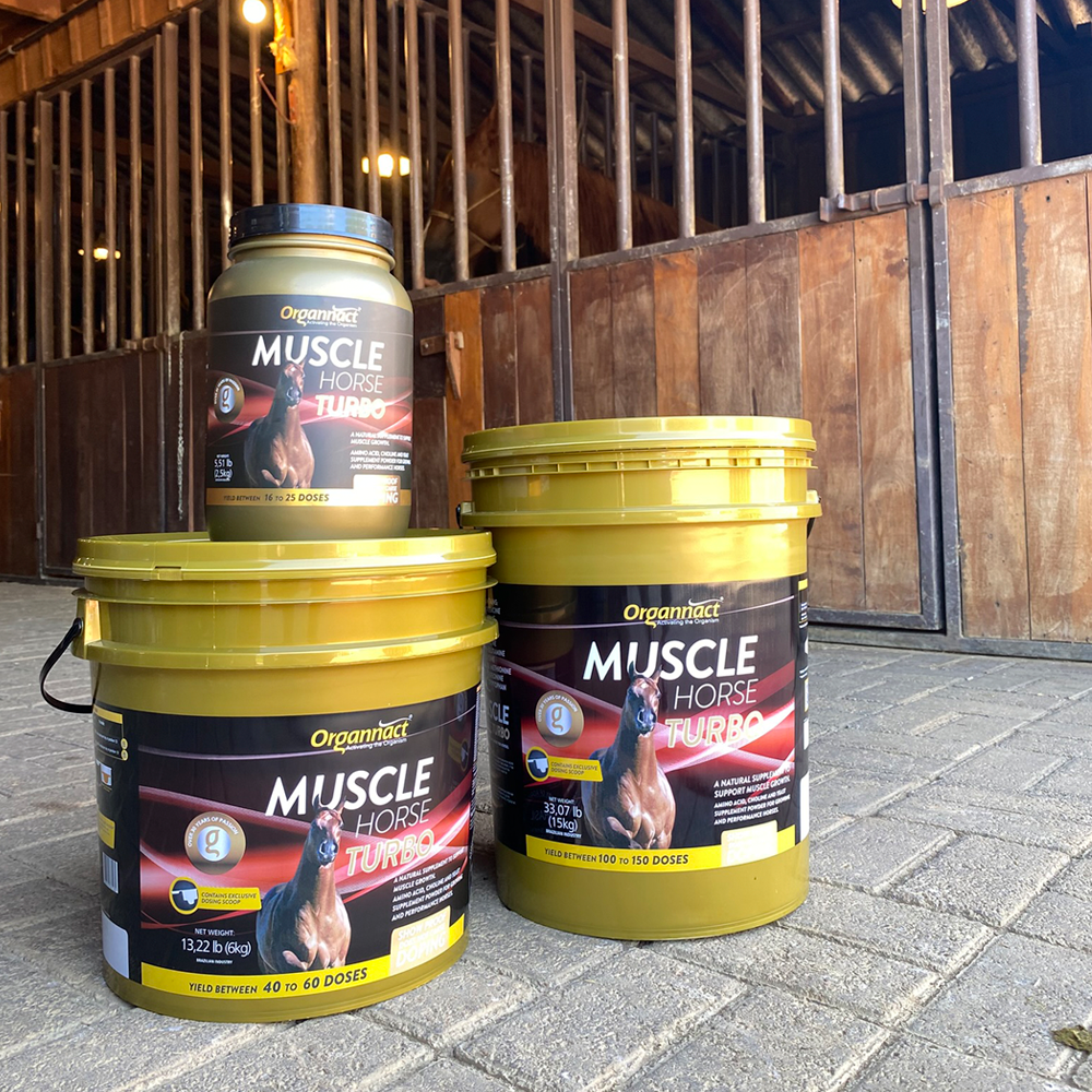 Equine muscle gain, Best supplement for horse metabolic, Best supplement for equine metabolic, Best supplement for performance horses, Best supplement for performance equines, Digestive supplement for horse, Digestive supplement for equines, Calming supplements for horses, Calming supplements for equines, Best calming paste, Horse vitamins and minerals supplement, Equine vitamins and minerals supplement, Supplement performance for horse, Supplement performance for equine