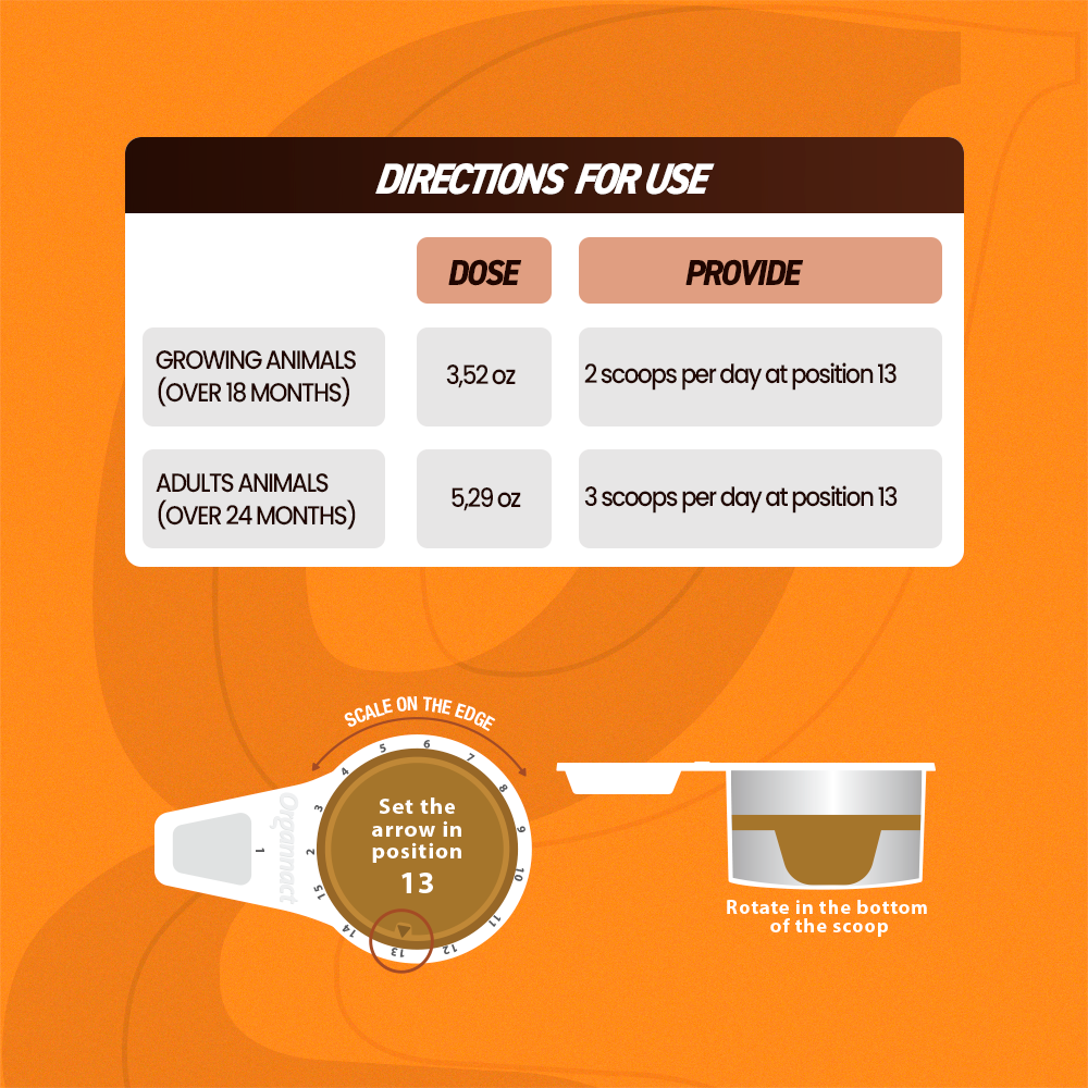 Equine muscle gain, Best supplement for horse metabolic, Best supplement for equine metabolic, Best supplement for performance horses, Best supplement for performance equines, Digestive supplement for horse, Digestive supplement for equines, Calming supplements for horses, Calming supplements for equines, Best calming paste, Horse vitamins and minerals supplement, Equine vitamins and minerals supplement, Supplement performance for horse, Supplement performance for equine