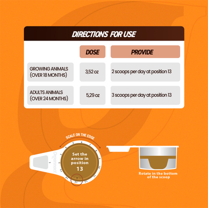 Equine muscle gain, Best supplement for horse metabolic, Best supplement for equine metabolic, Best supplement for performance horses, Best supplement for performance equines, Digestive supplement for horse, Digestive supplement for equines, Calming supplements for horses, Calming supplements for equines, Best calming paste, Horse vitamins and minerals supplement, Equine vitamins and minerals supplement, Supplement performance for horse, Supplement performance for equine