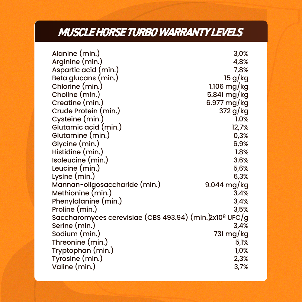 Equine muscle gain, Best supplement for horse metabolic, Best supplement for equine metabolic, Best supplement for performance horses, Best supplement for performance equines, Digestive supplement for horse, Digestive supplement for equines, Calming supplements for horses, Calming supplements for equines, Best calming paste, Horse vitamins and minerals supplement, Equine vitamins and minerals supplement, Supplement performance for horse, Supplement performance for equine