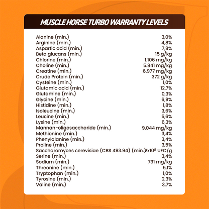 Equine muscle gain, Best supplement for horse metabolic, Best supplement for equine metabolic, Best supplement for performance horses, Best supplement for performance equines, Digestive supplement for horse, Digestive supplement for equines, Calming supplements for horses, Calming supplements for equines, Best calming paste, Horse vitamins and minerals supplement, Equine vitamins and minerals supplement, Supplement performance for horse, Supplement performance for equine