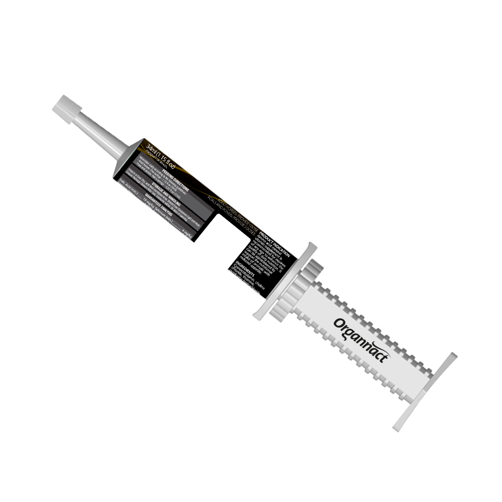 Organnact Nutrifull Appetite Horse Supplement