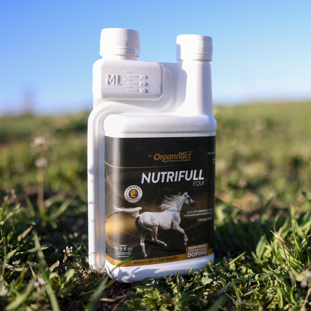 Horse supplements, Equine supplements, Horse supplement, Equine supplement, Performance horse, Performance equine, Performance horse training, Performance equine training, Calm supplement for horses, Calm supplement for equines, Best supplement for horses, Best supplement for equines, Energy supplement for horses, Energy supplement for equines, Supplement for horses muscles, Supplement for equines muscles, Horses muscle mass, Equine muscle mass, Horse muscle gain