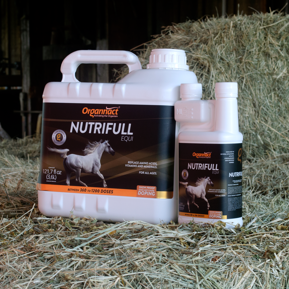 Horse supplements, Equine supplements, Horse supplement, Equine supplement, Performance horse, Performance equine, Performance horse training, Performance equine training, Calm supplement for horses, Calm supplement for equines, Best supplement for horses, Best supplement for equines, Energy supplement for horses, Energy supplement for equines, Supplement for horses muscles, Supplement for equines muscles, Horses muscle mass, Equine muscle mass, Horse muscle gain