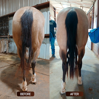 Equine muscle gain, Best supplement for horse metabolic, Best supplement for equine metabolic, Best supplement for performance horses, Best supplement for performance equines, Digestive supplement for horse, Digestive supplement for equines, Calming supplements for horses, Calming supplements for equines, Best calming paste, Horse vitamins and minerals supplement, Equine vitamins and minerals supplement, Supplement performance for horse, Supplement performance for equine