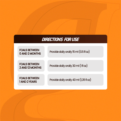 Horse supplements, Equine supplements, Horse supplement, Equine supplement, Performance horse, Performance equine, Performance horse training, Performance equine training, Calm supplement for horses, Calm supplement for equines, Best supplement for horses, Best supplement for equines, Energy supplement for horses, Energy supplement for equines, Supplement for horses muscles, Supplement for equines muscles, Horses muscle mass, Equine muscle mass, Horse muscle gain