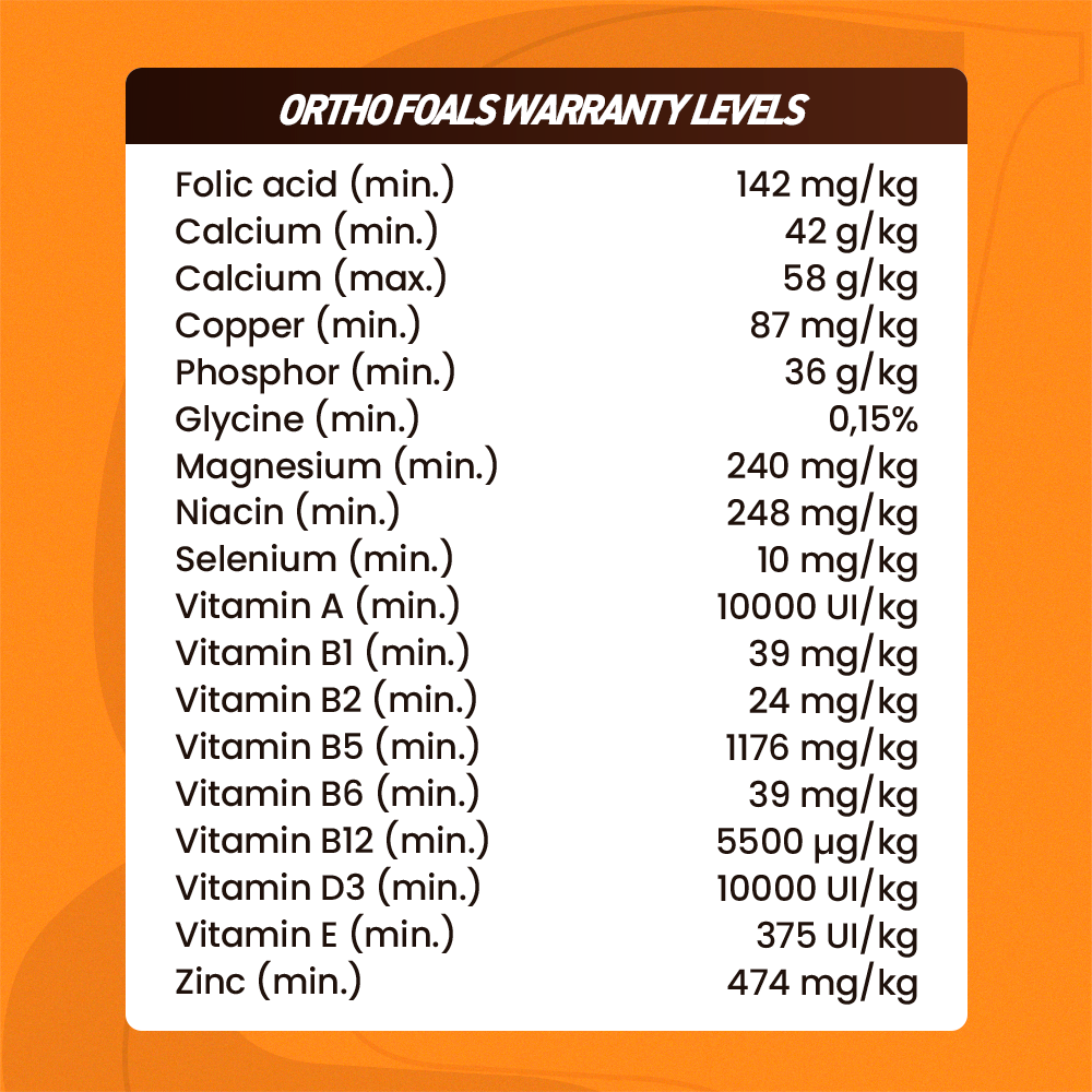 Horse supplements, Equine supplements, Horse supplement, Equine supplement, Performance horse, Performance equine, Performance horse training, Performance equine training, Calm supplement for horses, Calm supplement for equines, Best supplement for horses, Best supplement for equines, Energy supplement for horses, Energy supplement for equines, Supplement for horses muscles, Supplement for equines muscles, Horses muscle mass, Equine muscle mass, Horse muscle gain