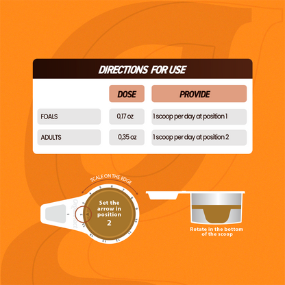 Horse supplements, Equine supplements, Horse supplement, Equine supplement, Performance horse, Performance equine, Performance horse training, Performance equine training, Calm supplement for horses, Calm supplement for equines, Best supplement for horses, Best supplement for equines, Energy supplement for horses, Energy supplement for equines, Supplement for horses muscles, Supplement for equines muscles, Horses muscle mass, Equine muscle mass, Horse muscle gain