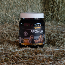 Horse supplements, Equine supplements, Horse supplement, Equine supplement, Performance horse, Performance equine, Performance horse training, Performance equine training, Calm supplement for horses, Calm supplement for equines, Best supplement for horses, Best supplement for equines, Energy supplement for horses, Energy supplement for equines, Supplement for horses muscles, Supplement for equines muscles, Horses muscle mass, Equine muscle mass, Horse muscle gain