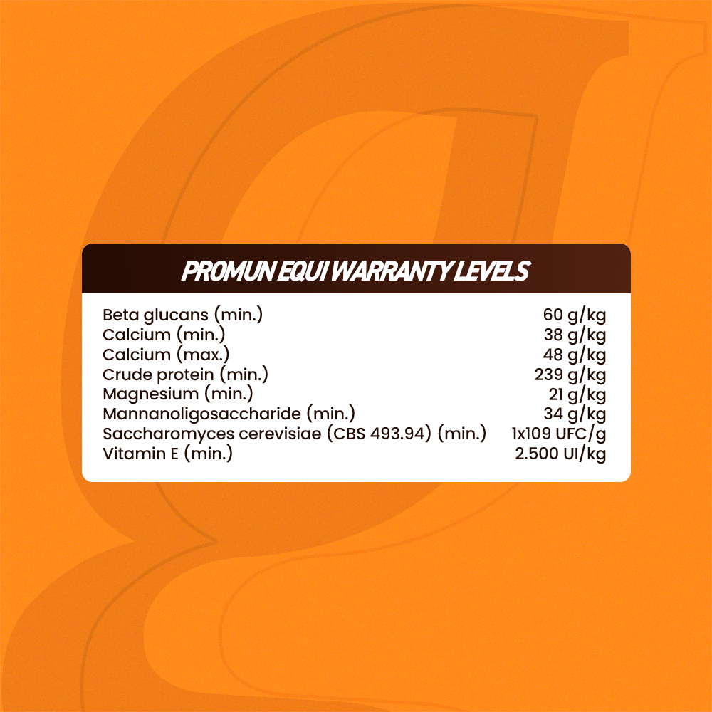 Horse supplements, Equine supplements, Horse supplement, Equine supplement, Performance horse, Performance equine, Performance horse training, Performance equine training, Calm supplement for horses, Calm supplement for equines, Best supplement for horses, Best supplement for equines, Energy supplement for horses, Energy supplement for equines, Supplement for horses muscles, Supplement for equines muscles, Horses muscle mass, Equine muscle mass, Horse muscle gain