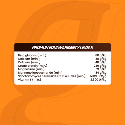 Horse supplements, Equine supplements, Horse supplement, Equine supplement, Performance horse, Performance equine, Performance horse training, Performance equine training, Calm supplement for horses, Calm supplement for equines, Best supplement for horses, Best supplement for equines, Energy supplement for horses, Energy supplement for equines, Supplement for horses muscles, Supplement for equines muscles, Horses muscle mass, Equine muscle mass, Horse muscle gain