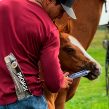 Horse supplements, Equine supplements, Horse supplement, Equine supplement, Performance horse, Performance equine, Performance horse training, Performance equine training, Calm supplement for horses, Calm supplement for equines, Best supplement for horses, Best supplement for equines, Energy supplement for horses, Energy supplement for equines, Supplement for horses muscles, Supplement for equines muscles, Horses muscle mass, Equine muscle mass, Horse muscle gain