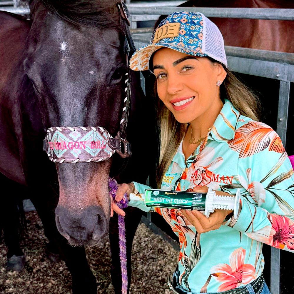 Horse supplements, Equine supplements, Horse supplement, Equine supplement, Performance horse, Performance equine, Performance horse training, Performance equine training, Calm supplement for horses, Calm supplement for equines, Best supplement for horses, Best supplement for equines, Energy supplement for horses, Energy supplement for equines, Supplement for horses muscles, Supplement for equines muscles, Horses muscle mass, Equine muscle mass, Horse muscle gain