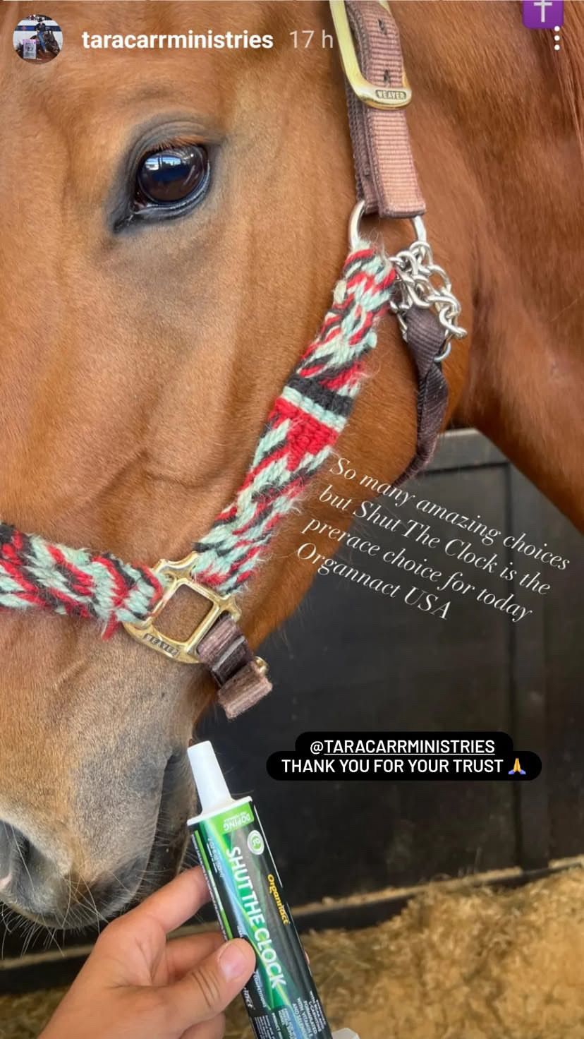 Horse supplements, Equine supplements, Horse supplement, Equine supplement, Performance horse, Performance equine, Performance horse training, Performance equine training, Calm supplement for horses, Calm supplement for equines, Best supplement for horses, Best supplement for equines, Energy supplement for horses, Energy supplement for equines, Supplement for horses muscles, Supplement for equines muscles, Horses muscle mass, Equine muscle mass, Horse muscle gain