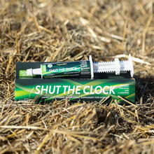 Horse supplements, Equine supplements, Horse supplement, Equine supplement, Performance horse, Performance equine, Performance horse training, Performance equine training, Calm supplement for horses, Calm supplement for equines, Best supplement for horses, Best supplement for equines, Energy supplement for horses, Energy supplement for equines, Supplement for horses muscles, Supplement for equines muscles, Horses muscle mass, Equine muscle mass, Horse muscle gain