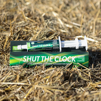 Horse supplements, Equine supplements, Horse supplement, Equine supplement, Performance horse, Performance equine, Performance horse training, Performance equine training, Calm supplement for horses, Calm supplement for equines, Best supplement for horses, Best supplement for equines, Energy supplement for horses, Energy supplement for equines, Supplement for horses muscles, Supplement for equines muscles, Horses muscle mass, Equine muscle mass, Horse muscle gain