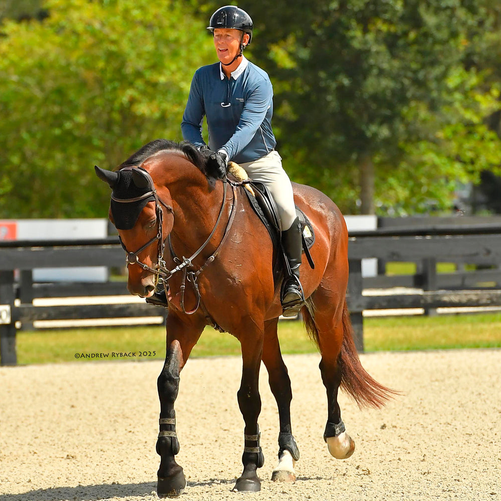 Horse supplements, Equine supplements, Horse supplement, Equine supplement, Performance horse, Performance equine, Performance horse training, Performance equine training, Calm supplement for horses, Calm supplement for equines, Best supplement for horses, Best supplement for equines, Energy supplement for horses, Energy supplement for equines, Supplement for horses muscles, Supplement for equines muscles, Horses muscle mass, Equine muscle mass, Horse muscle gain