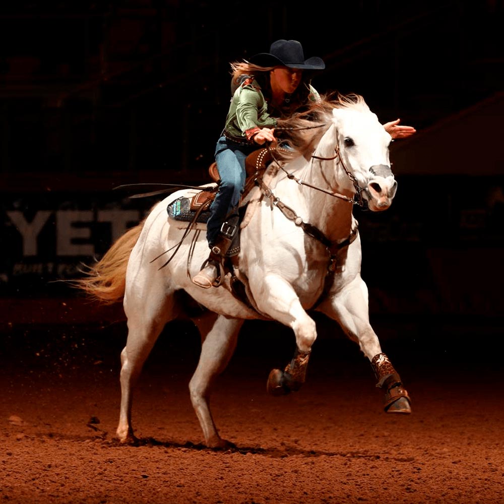 Pre race equines, BCAA equine, BCAA horses, Horse nutrition, Equine nutrition, Weight gain supplements for horses, Weight gain supplements for equines, Foals supplementation, Foal supplement, Supplements for foals, Healthy foal, Newborn foal supplement, Products for newborn foal, Newborn foal care, Foals essential care, Newborn foal, Foal products, Mares nutrition, Nutrition for mares