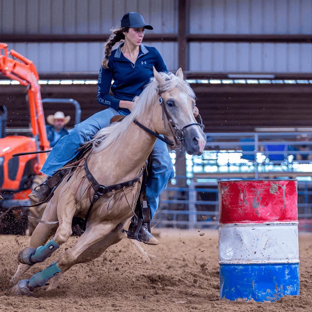 Pre race equines, BCAA equine, BCAA horses, Horse nutrition, Equine nutrition, Weight gain supplements for horses, Weight gain supplements for equines, Foals supplementation, Foal supplement, Supplements for foals, Healthy foal, Newborn foal supplement, Products for newborn foal, Newborn foal care, Foals essential care, Newborn foal, Foal products, Mares nutrition, Nutrition for mares