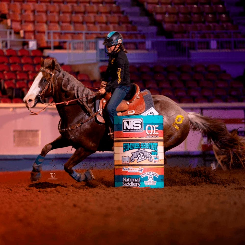 Pre race equines, BCAA equine, BCAA horses, Horse nutrition, Equine nutrition, Weight gain supplements for horses, Weight gain supplements for equines, Foals supplementation, Foal supplement, Supplements for foals, Healthy foal, Newborn foal supplement, Products for newborn foal, Newborn foal care, Foals essential care, Newborn foal, Foal products, Mares nutrition, Nutrition for mares