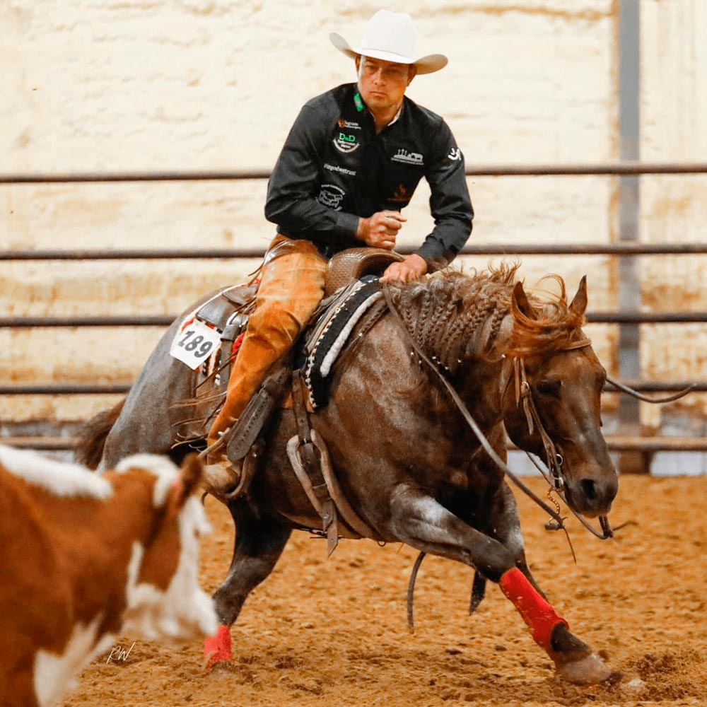 Pre race equines, BCAA equine, BCAA horses, Horse nutrition, Equine nutrition, Weight gain supplements for horses, Weight gain supplements for equines, Foals supplementation, Foal supplement, Supplements for foals, Healthy foal, Newborn foal supplement, Products for newborn foal, Newborn foal care, Foals essential care, Newborn foal, Foal products, Mares nutrition, Nutrition for mares