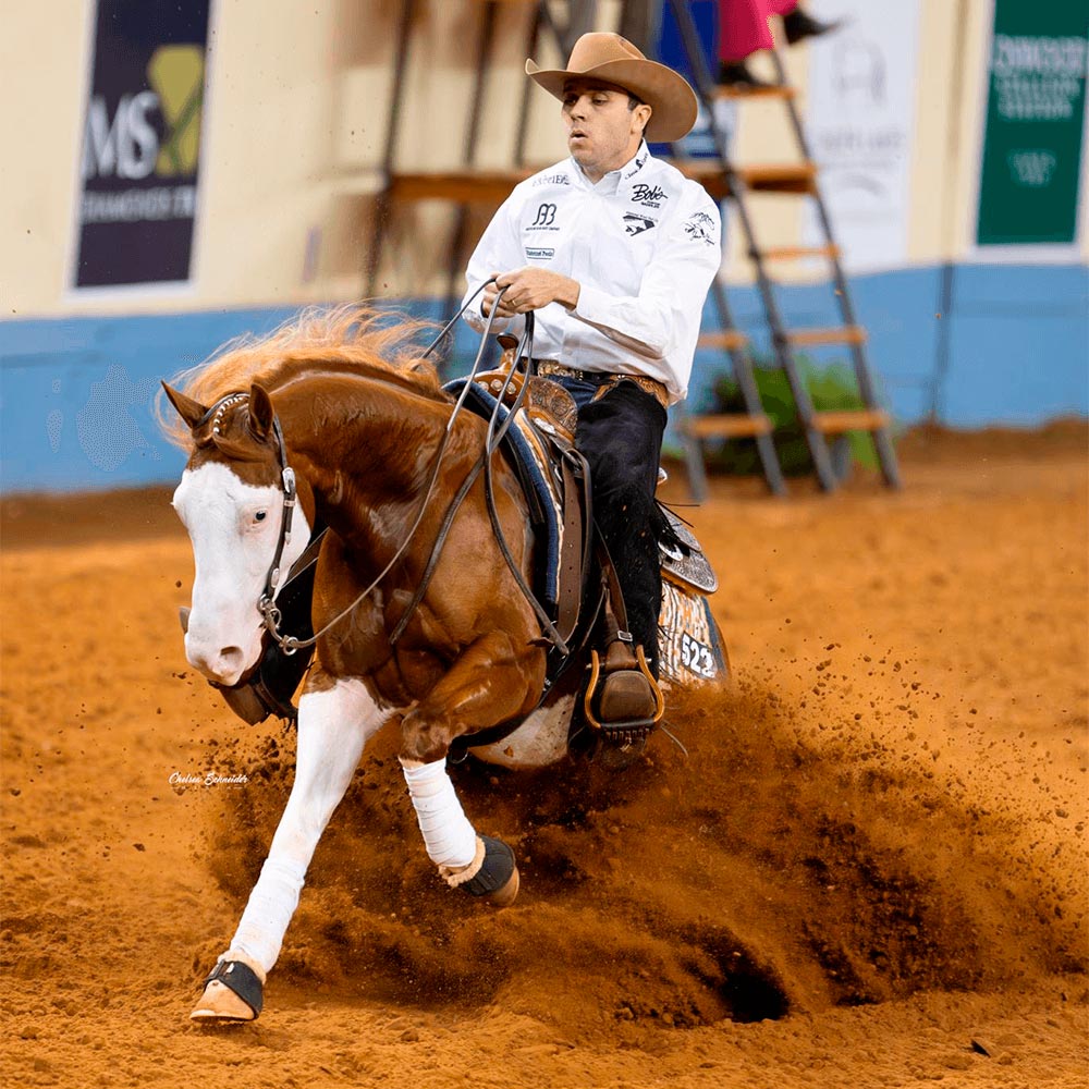 Pre race equines, BCAA equine, BCAA horses, Horse nutrition, Equine nutrition, Weight gain supplements for horses, Weight gain supplements for equines, Foals supplementation, Foal supplement, Supplements for foals, Healthy foal, Newborn foal supplement, Products for newborn foal, Newborn foal care, Foals essential care, Newborn foal, Foal products, Mares nutrition, Nutrition for mares