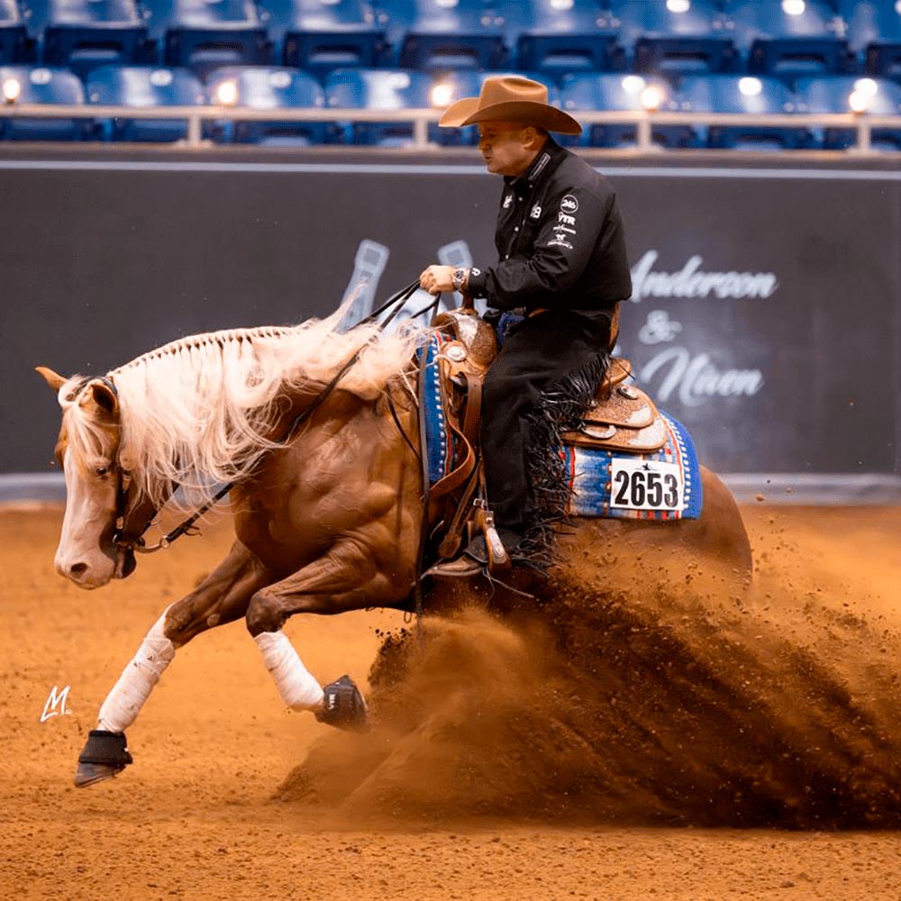 Pre race equines, BCAA equine, BCAA horses, Horse nutrition, Equine nutrition, Weight gain supplements for horses, Weight gain supplements for equines, Foals supplementation, Foal supplement, Supplements for foals, Healthy foal, Newborn foal supplement, Products for newborn foal, Newborn foal care, Foals essential care, Newborn foal, Foal products, Mares nutrition, Nutrition for mares