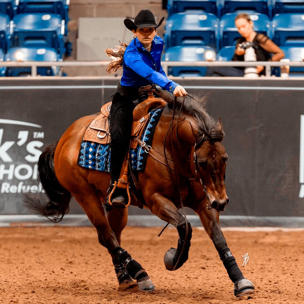 Pre race equines, BCAA equine, BCAA horses, Horse nutrition, Equine nutrition, Weight gain supplements for horses, Weight gain supplements for equines, Foals supplementation, Foal supplement, Supplements for foals, Healthy foal, Newborn foal supplement, Products for newborn foal, Newborn foal care, Foals essential care, Newborn foal, Foal products, Mares nutrition, Nutrition for mares