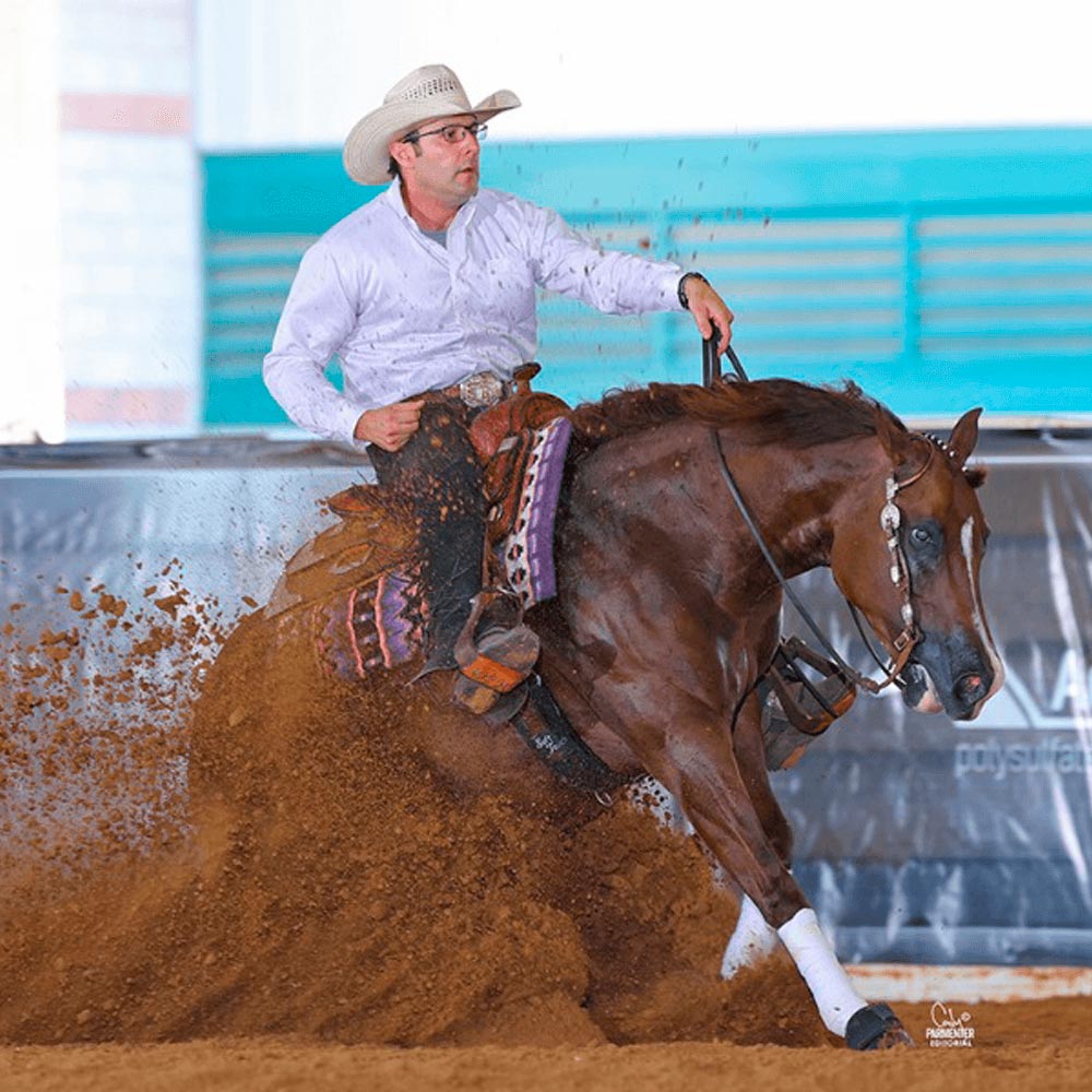 Pre race equines, BCAA equine, BCAA horses, Horse nutrition, Equine nutrition, Weight gain supplements for horses, Weight gain supplements for equines, Foals supplementation, Foal supplement, Supplements for foals, Healthy foal, Newborn foal supplement, Products for newborn foal, Newborn foal care, Foals essential care, Newborn foal, Foal products, Mares nutrition, Nutrition for mares