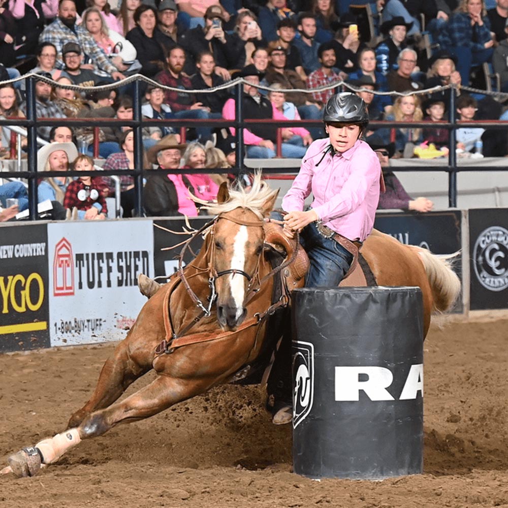 Pre race equines, BCAA equine, BCAA horses, Horse nutrition, Equine nutrition, Weight gain supplements for horses, Weight gain supplements for equines, Foals supplementation, Foal supplement, Supplements for foals, Healthy foal, Newborn foal supplement, Products for newborn foal, Newborn foal care, Foals essential care, Newborn foal, Foal products, Mares nutrition, Nutrition for mares
