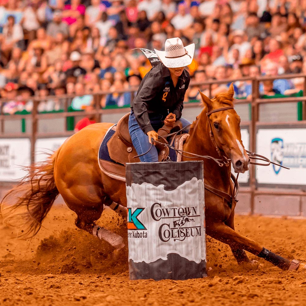 Pre race equines, BCAA equine, BCAA horses, Horse nutrition, Equine nutrition, Weight gain supplements for horses, Weight gain supplements for equines, Foals supplementation, Foal supplement, Supplements for foals, Healthy foal, Newborn foal supplement, Products for newborn foal, Newborn foal care, Foals essential care, Newborn foal, Foal products, Mares nutrition, Nutrition for mares