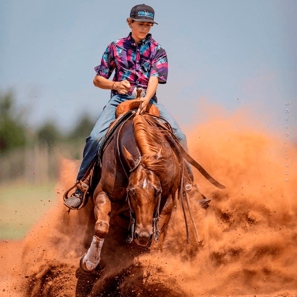 Pre race equines, BCAA equine, BCAA horses, Horse nutrition, Equine nutrition, Weight gain supplements for horses, Weight gain supplements for equines, Foals supplementation, Foal supplement, Supplements for foals, Healthy foal, Newborn foal supplement, Products for newborn foal, Newborn foal care, Foals essential care, Newborn foal, Foal products, Mares nutrition, Nutrition for mares