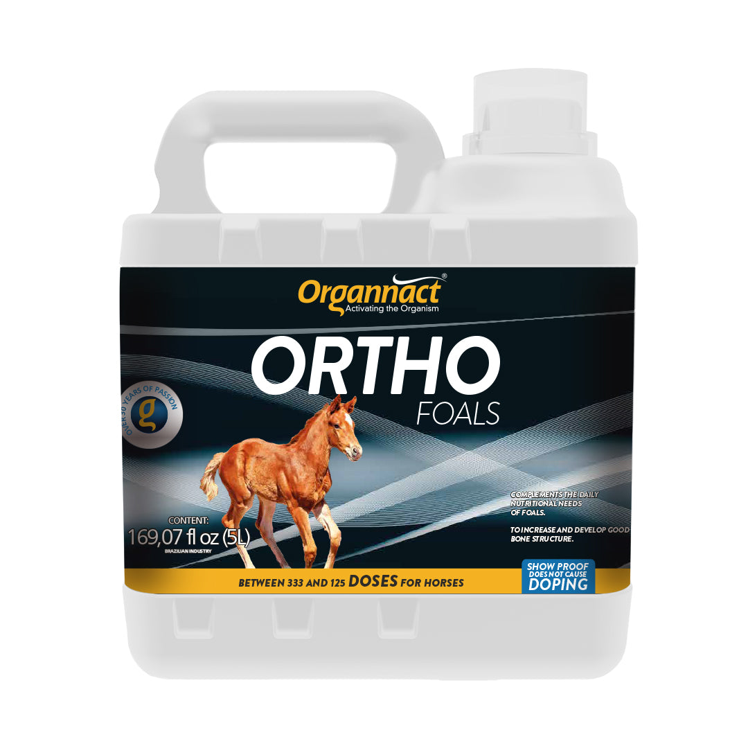 Equine metabolic, Horse metabolic, Pelleted horse, Pelleted equine, Horse digestion, Equine digestion, Horse intestine, Equine intestine, Horse gut health, Equine gut health, Horse nutrition care, Equine nutrition care, Hoof supplements horse, Hoof supplements equine, Healthy coat for horses, Healthy coat for equines, ATP horses, ATP equines, Pre race horses, Complete equine performance products