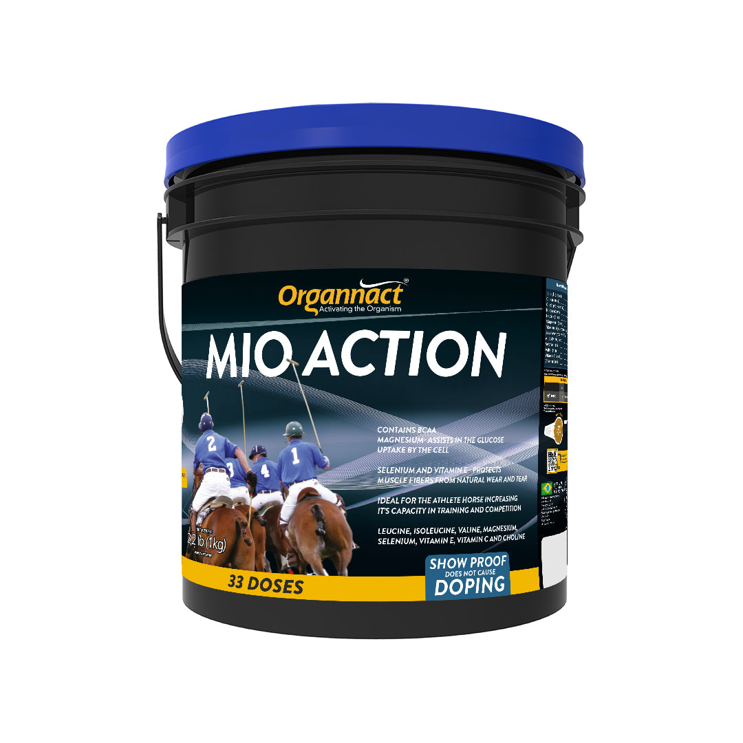 Equine metabolic, Horse metabolic, Pelleted horse, Pelleted equine, Horse digestion, Equine digestion, Horse intestine, Equine intestine, Horse gut health, Equine gut health, Horse nutrition care, Equine nutrition care, Hoof supplements horse, Hoof supplements equine, Healthy coat for horses, Healthy coat for equines, ATP horses, ATP equines, Pre race horses, Complete equine performance products